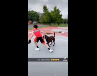 Collab BitchMP - Guy trips over brown dog playing basketball