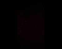 Dog wears costume in front of christmas tree 