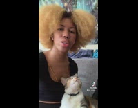 Cat gets comfortable when woman says she will leave