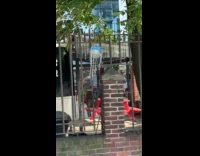 Hanged free dream catcher but also cursed