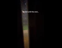 Woman sees glowing eyes on her yard