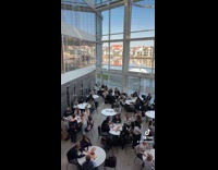 Collab Clips MPUGC - Man laughing out loud on cafeteria 