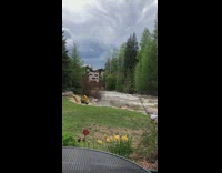 Green shirt girl river gold foil balloons 