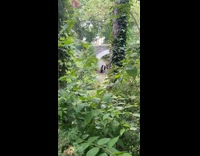 Model in Darth Vader outfits checks pictures 