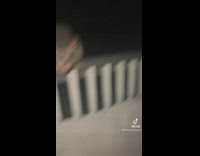 Guy offers two possums apples but theyre aggressive