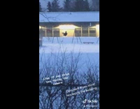 BitchMP - Swing optical illusion which way