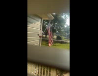 Flock of birds fight over bird feeder