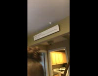 Girl hits whipped cream off back hand and gets it stuck on ceiling