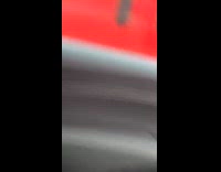 Dog turns head to look at woman 