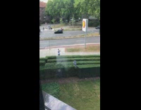 Zebra onesie person walks behind green bush 