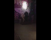 Woman picture Marilyn Monroe mural wall