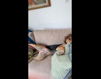 Dog hogging the whole couch