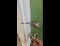 Collab BitchMP - Two huskies making huge noise until owner opens door 