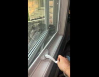 Lady Helps Stuck Raccoon Get Off Window