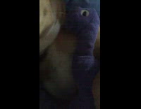 Brown dog holds purple dinosaur toy blanket