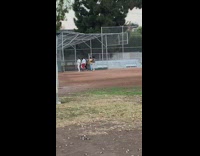 Group fashion dress model walk baseball field Part 2