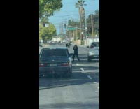 Geese attack woman trying to help them off the road
