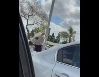 Goat head costume groceries from car quarantine 