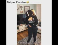 Frenchie wears matching adidas tracksuit 
