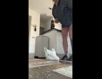 Woman makes cats clean their mess 