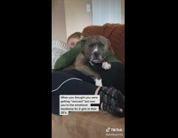 Girl hugs emotional support dog