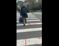 Guy walking his pet ferret through the intersection