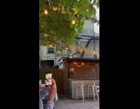 Collab WINY - Rabbit roaming around restaurants roof 