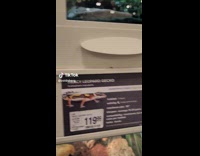 Collab BitchMP - Guy chooses fancy gecko leopard lizard