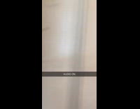 Alexa long crispy fart noises