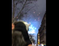 Cat carried by owner watch fireworks show