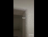 Tenants paint over everything in apartment like landlords