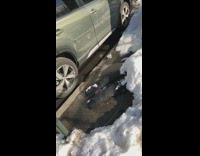 Black pillows on sidewalk look like legs 