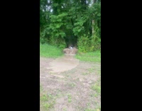 Man rides the ATV through the puddle