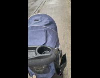 Pug Tries to Play with Cat Inside Stroller 