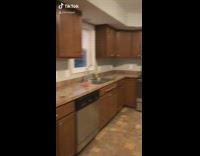 Different SpongeBob paintings in house 