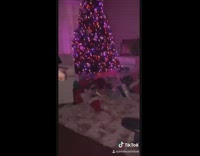 Girl wakes family at five am christmas 