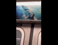 Shark poster and plushy in subway train