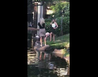 Lady Poses Next to Flamingos Near Restaurant
