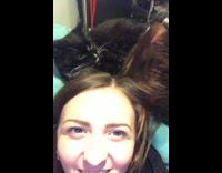 Cat licks hair of owner below them