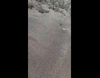 White snow underneath the dirt sand near the beach