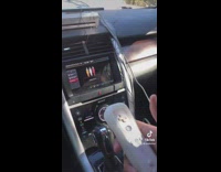 Gamer connects Wii to car navigation screen 