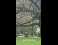 Women in White Underwear Poses on Tree in Park 