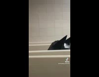 Guy in bathroom stall in batman costume 