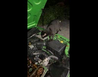 Collab Clips MPUGC - Man argues with mechanic cat 