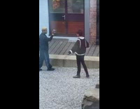 Guy smoke video cat inside window rocks