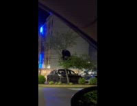 Submitter shows bear sitting on the tree