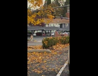 Woman tiktok dance parking lot dried leaves