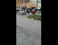 Women takes photos of raccoon at park in NYC 