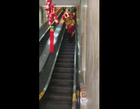 Chinese lunar new year dragon parade