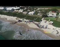 Drone boats pull beached whale toward ocean 